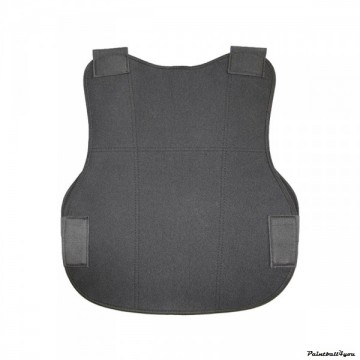Chest protector 1