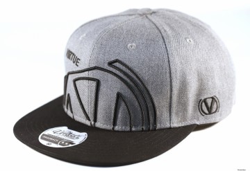 Virtue snapback grey 0